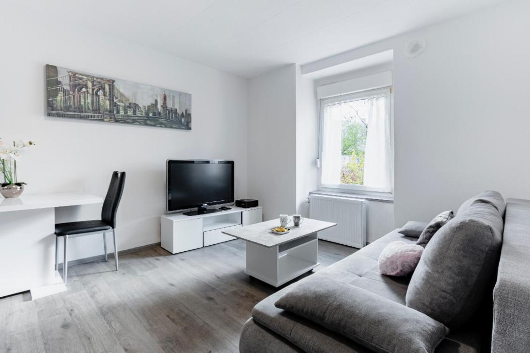 Comfort Stay Basel Airport 2A46 Сен-Луи Экстерьер фото